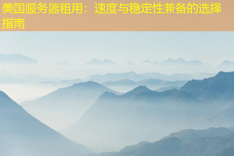 美国服务器租用：速度与稳定性兼备的选择指南