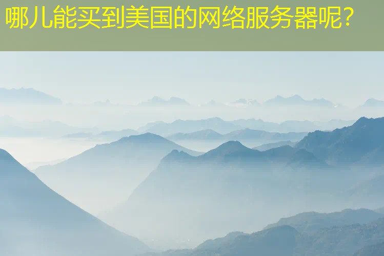 哪儿能买到美国的网络服务器呢？