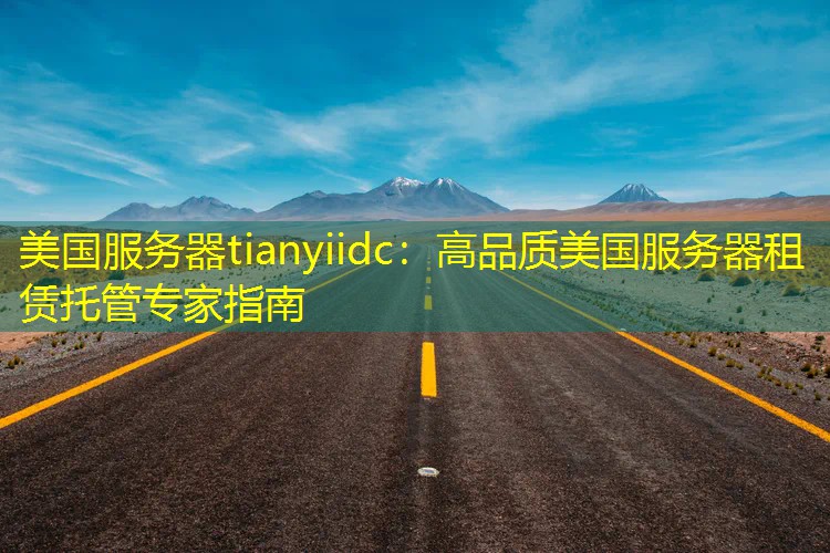 美国服务器tianyiidc：高品质美国服务器租赁托管专家指南