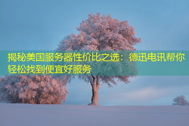 揭秘美国服务器性价比之选：德迅电讯帮你轻松找到便宜好服务
