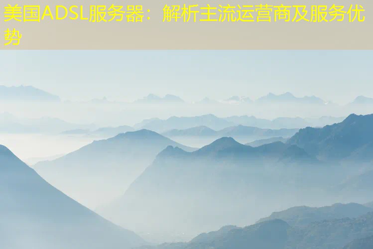 美国ADSL服务器：解析主流运营商及服务优势