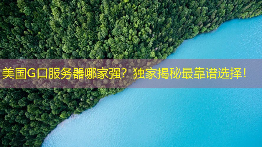 美国G口服务器哪家强？独家揭秘最靠谱选择！