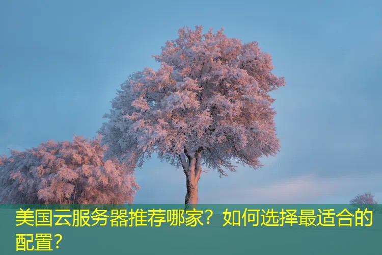 美国云服务器推荐哪家？如何选择最适合的配置？