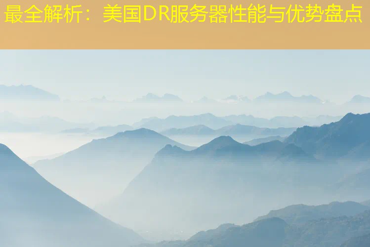最全解析：美国DR服务器性能与优势盘点