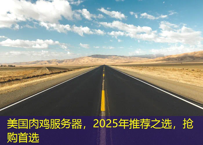 美国肉鸡服务器，2025年推荐之选，抢购首选