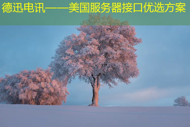 德迅电讯——美国服务器接口优选方案