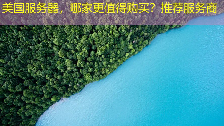 美国服务器，哪家更值得购买？推荐服务商