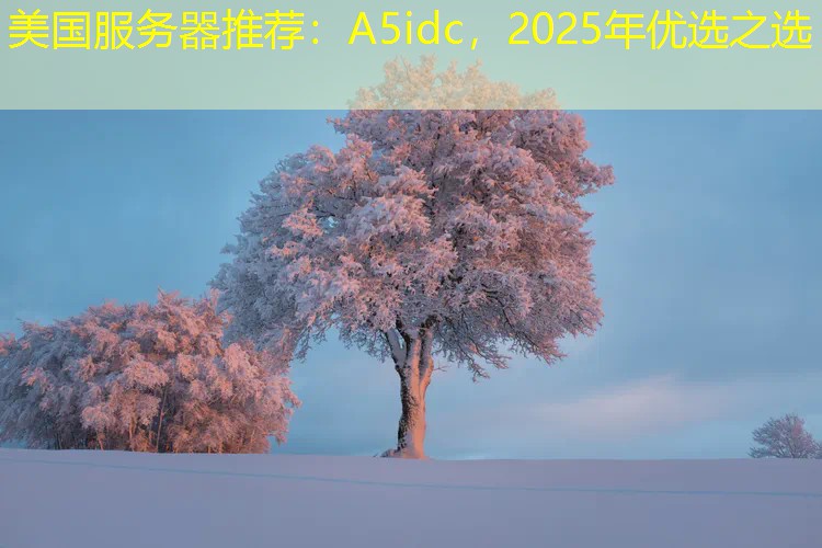 美国服务器推荐：A5idc，2025年优选之选