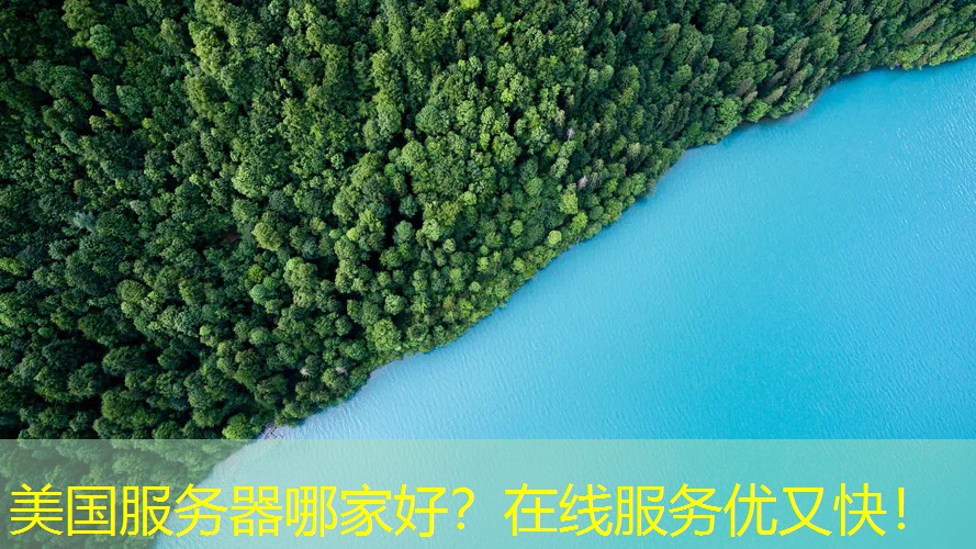 美国服务器哪家好？在线服务优又快！