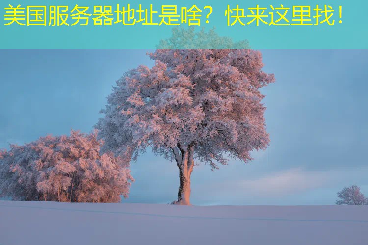 美国服务器地址是啥？快来这里找！