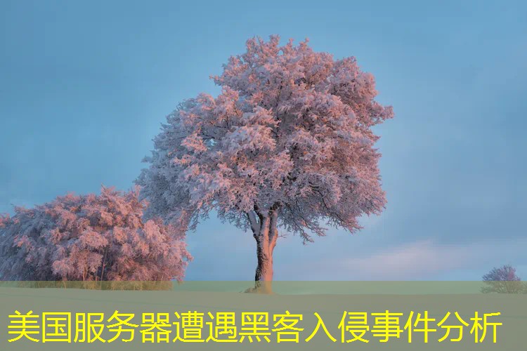 美国服务器遭遇黑客入侵事件分析
