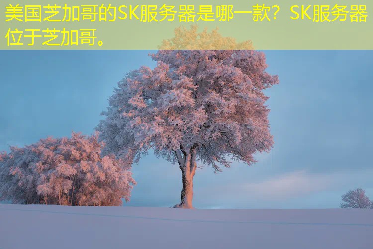 美国芝加哥的SK服务器是哪一款？SK服务器位于芝加哥。